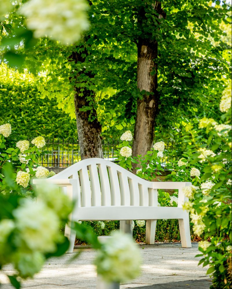 Un banc dans le jardin de l'hotel